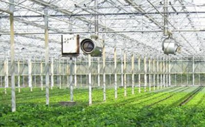 SLOVENSKO - Referencie 