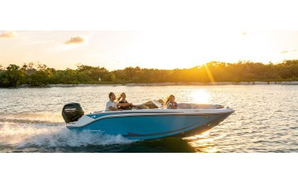 Bayliner Element M17