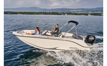Bayliner Element M19